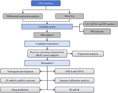 Transcriptome analysis combined with Mendelian randomization screening for biomarkers causally associated with diabetic retinopathy